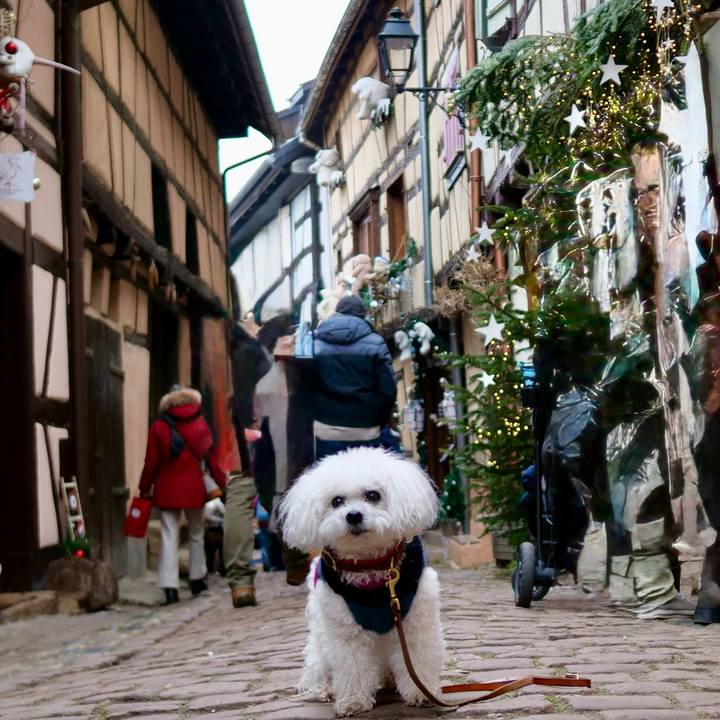 F58aae1b e4d5 48c1 938b f7899ce58839 1767050699253