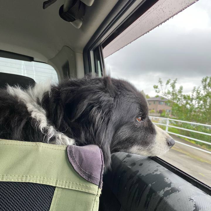 F58adf49 b450 4bcc 9e8e 3f42f5c515b6 1652480130727