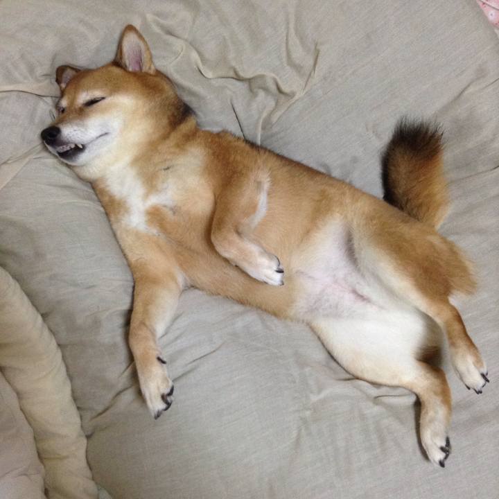 F58b0398 5c12 4eca 8a22 0e281117d4e0 1540554883685