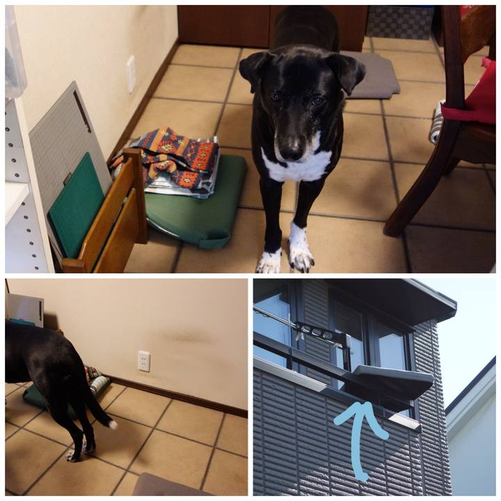 F58b2ebc 2853 48e9 95df 596500a65ed6 1715990928905