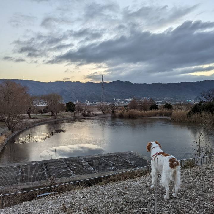 F58b2f48 cd78 4b8d 868a 8a0abacbdf2b 1642733470152