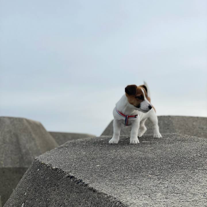 F58b7730 1b9c 4c28 9c34 f3c72de0a0e5 1618271258906