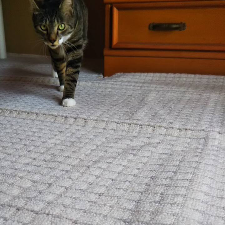 F58be9dc 98af 434f 8e9f 2a0cdec8ee5f 1607057773228