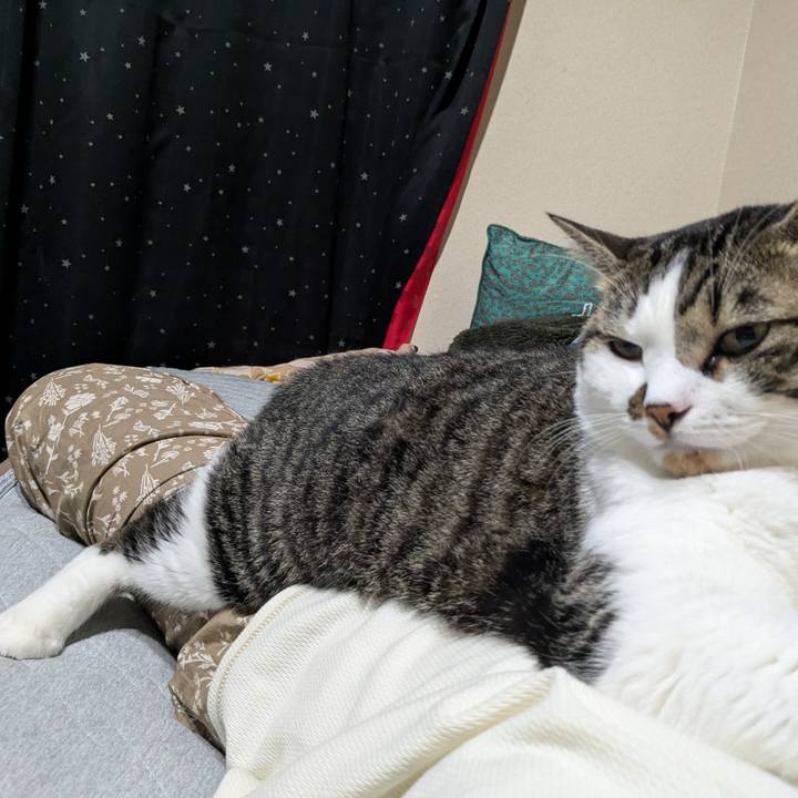 F58c16f9 3c82 44f0 b38b c6c7cafdafbe 1725497254008