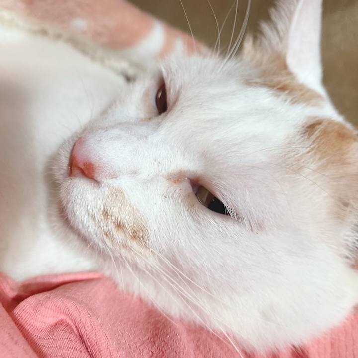 F58c4f85 57ec 4be4 8d57 ab30c14fb2d0 1601809779956