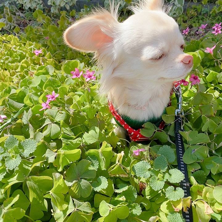 F58c5fff 79bc 4c34 98dc 5f9f34fb7684 1615379537674