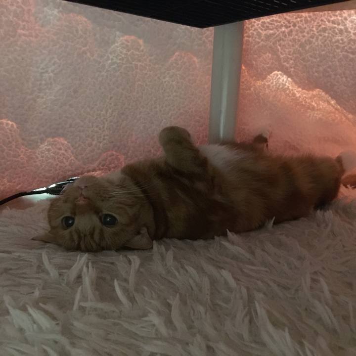 F58c71eb 411d 4654 a9d9 12462733b15a 1581753058072