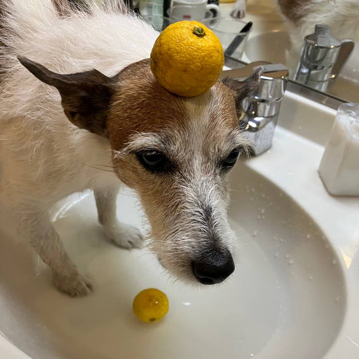 F58ce89f 9eff 417d afa5 ef04e010a0a4 1703288427232