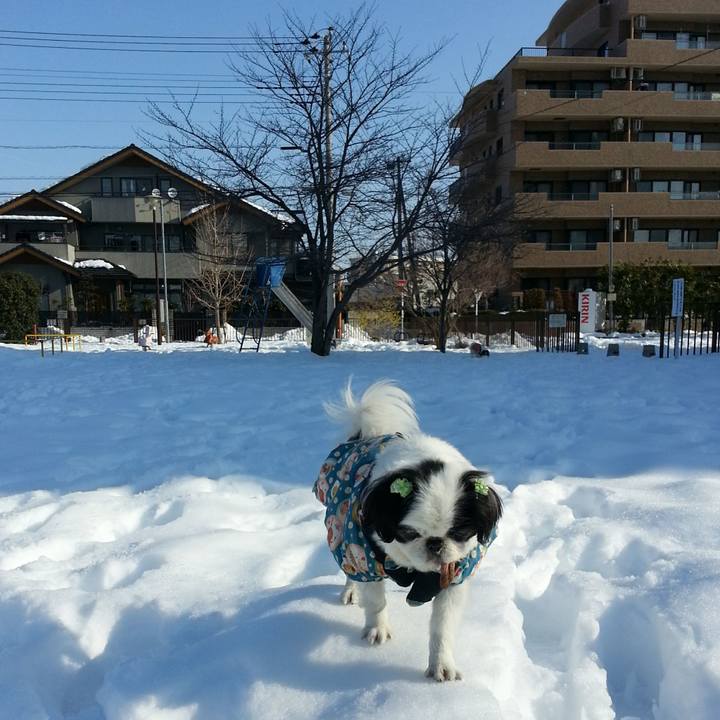 F58d4c90 c986 44a6 8e8e 4d4aa9a03124 1516797482568