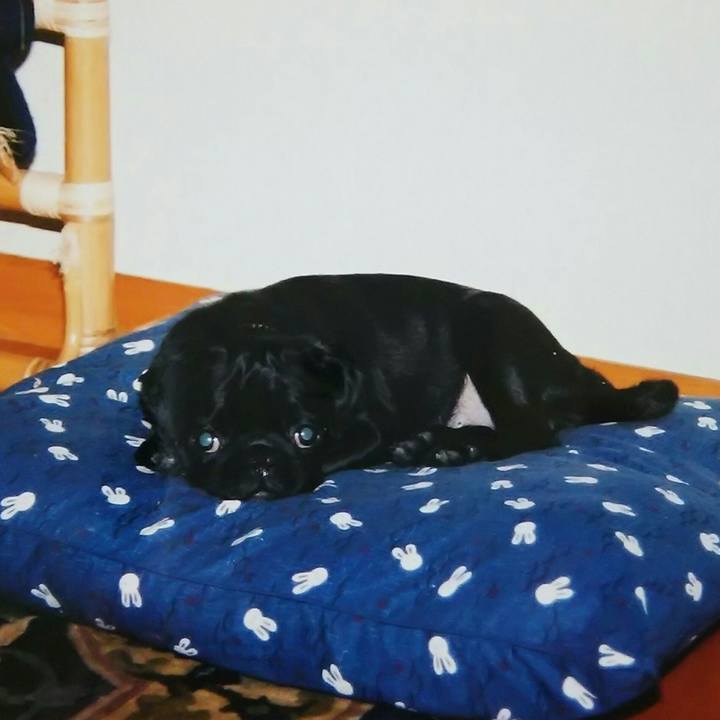 F58d4e60 5cbd 4d7e 8b8d d3144ab9bab9 1581523673599