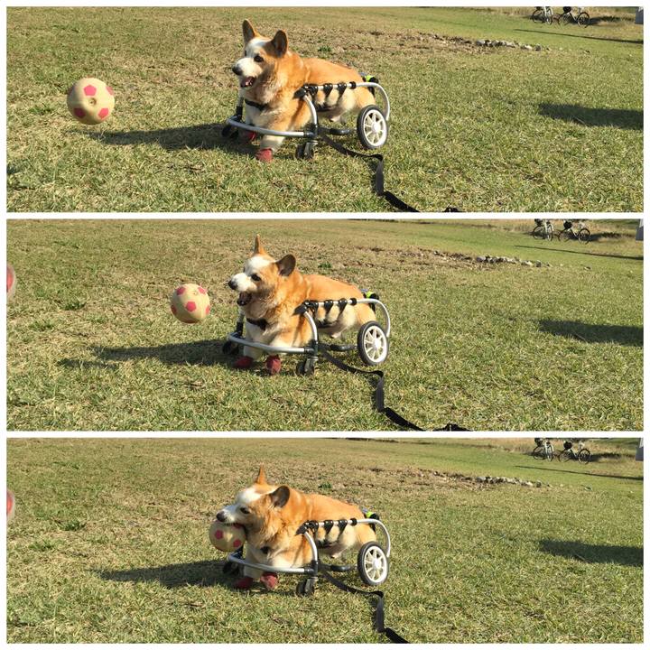 F58d5138 fed0 476e 9eaf 36a280727b02 1572670796158