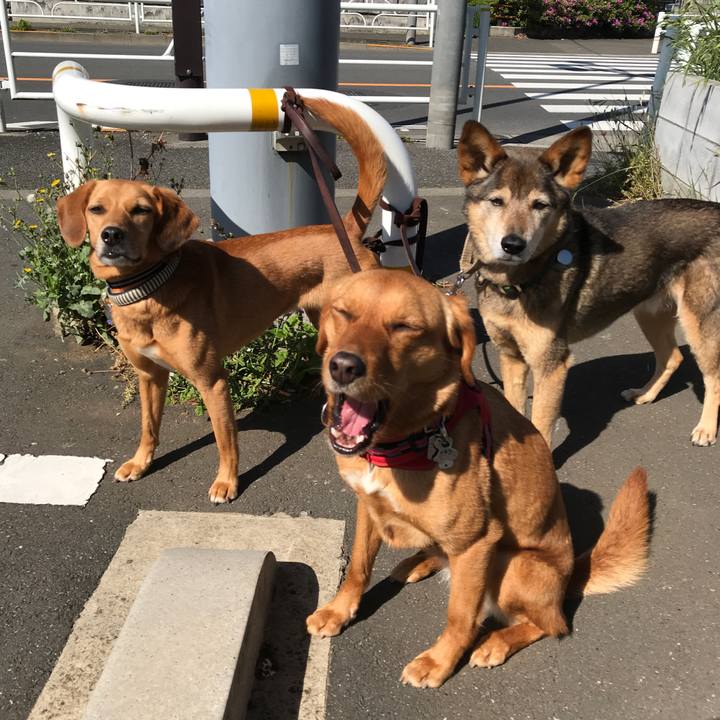 F58d9d41 e9d5 4dbc a0d5 1be513d5c7dd 1525355960955