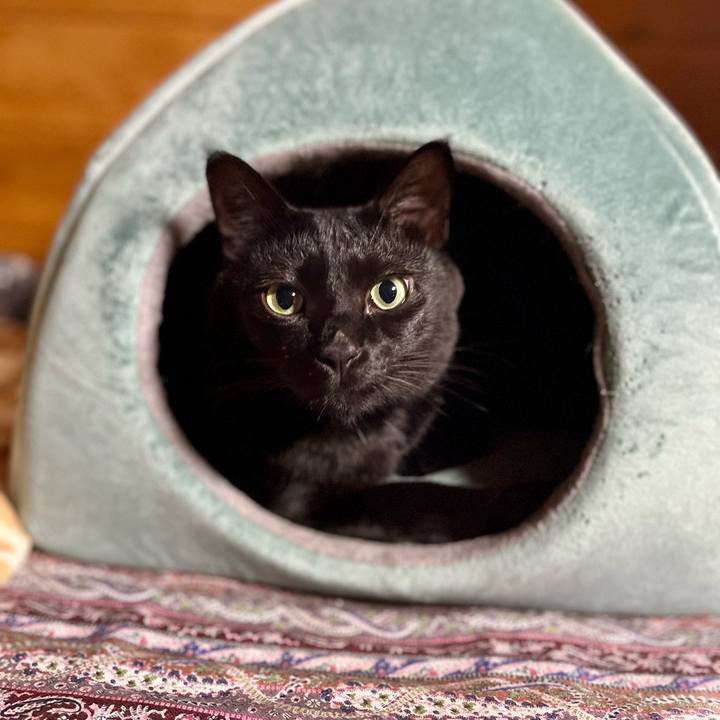 F58dbab8 57ae 45af a7a8 51d35ff70772 1693484773884