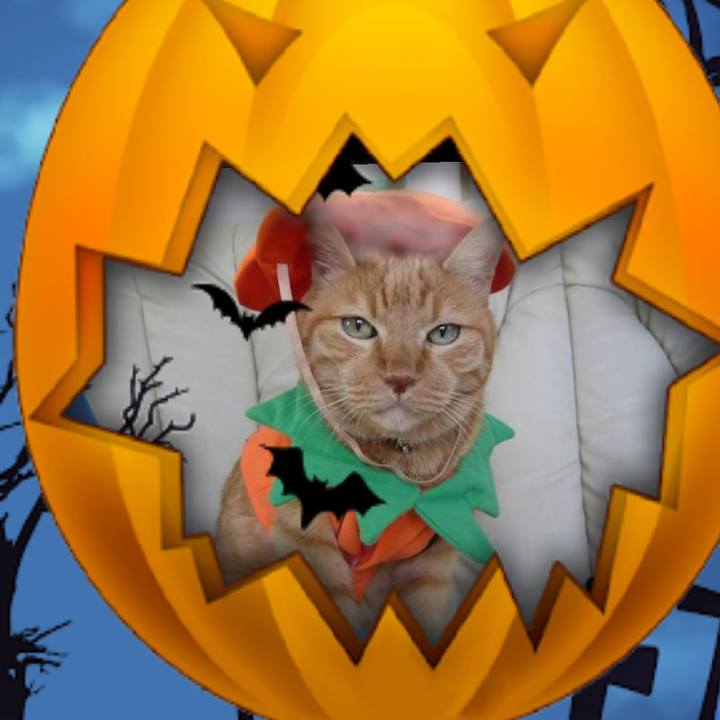 F58e30ae dbbb 47cc bca7 857b7c2dca61 1603716687574