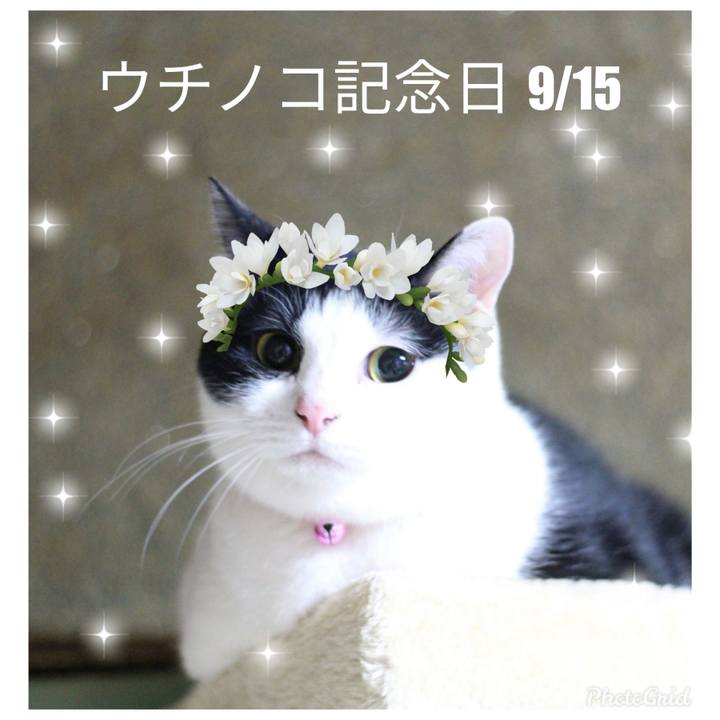 F58e3c04 eb8d 4b3d a1cf d04db018ae53 1568503937615