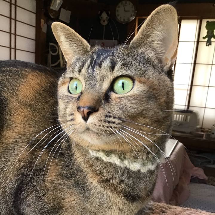 F58e58b9 2452 46af bc6e 1862f6e584b8 1647415210903