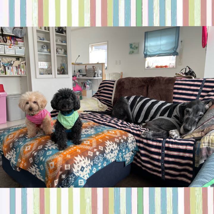 F58e898d be76 4651 a921 f8825528cf3e 1648162360346