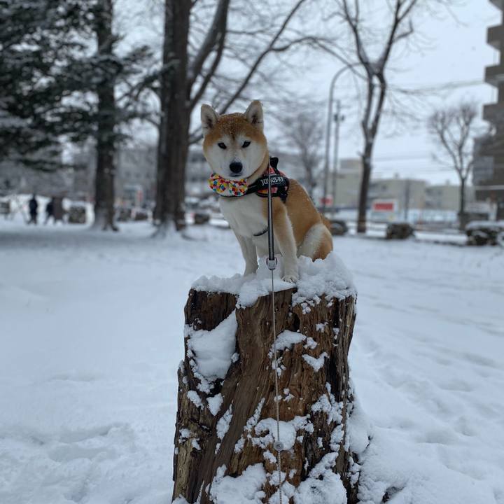 F58ec123 37aa 47a0 8b92 717527cbf62f 1609471109974