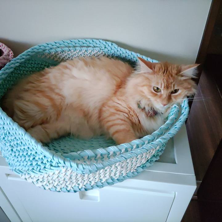 F58ecb6b 2a81 41bc 8347 4c3609593818 1658440245076