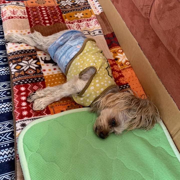 F58edb3f c34c 4763 b4ab ffdaa036e34f 1698141428224