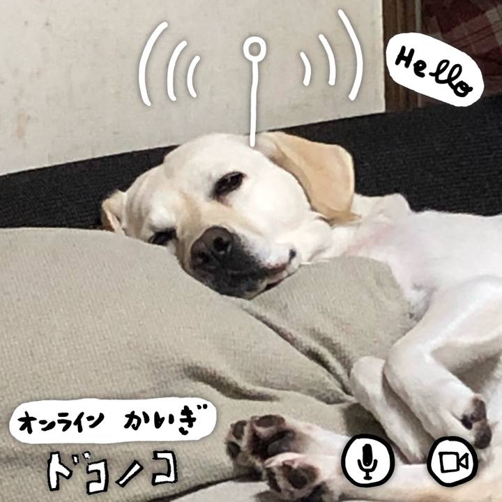 F58eef20 fcdc 4852 a9c6 bae77ea0b101 1590836189520