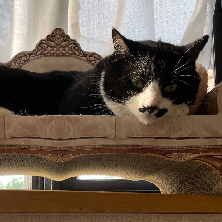 F58efaf2 4aae 449c a982 b5777c552241 1689831402676