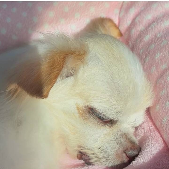 F58f0a8b 7f9d 4951 be7f 93c76fa026d8 1762219229229