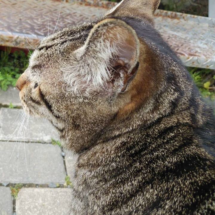 F58f16d6 af08 41f2 a75c 48e9e6dd47a3 1617101192243