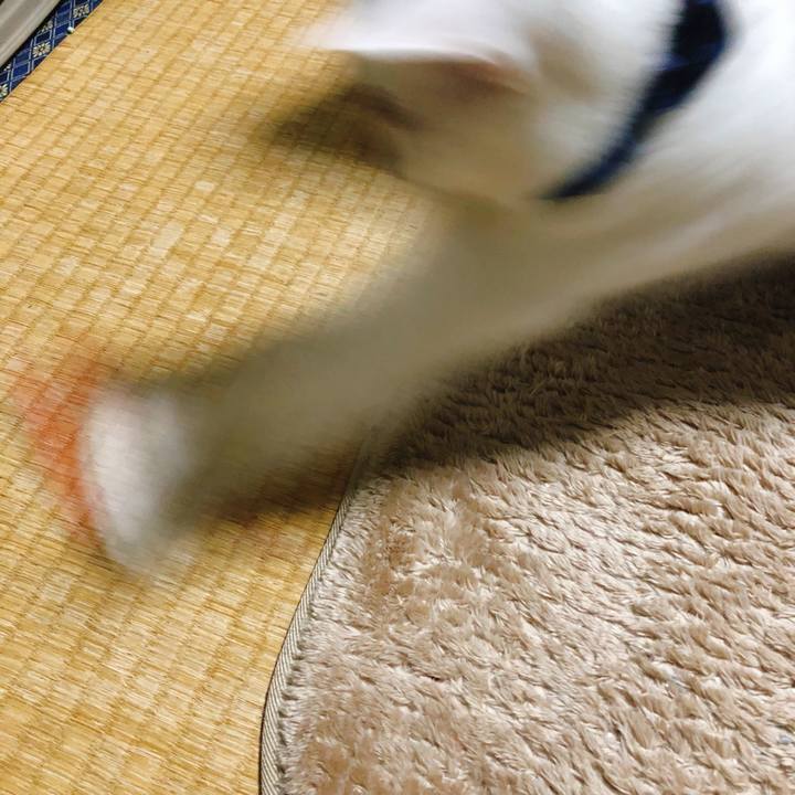 F58f2921 1792 42d8 ad07 41decf22368c 1517582419549