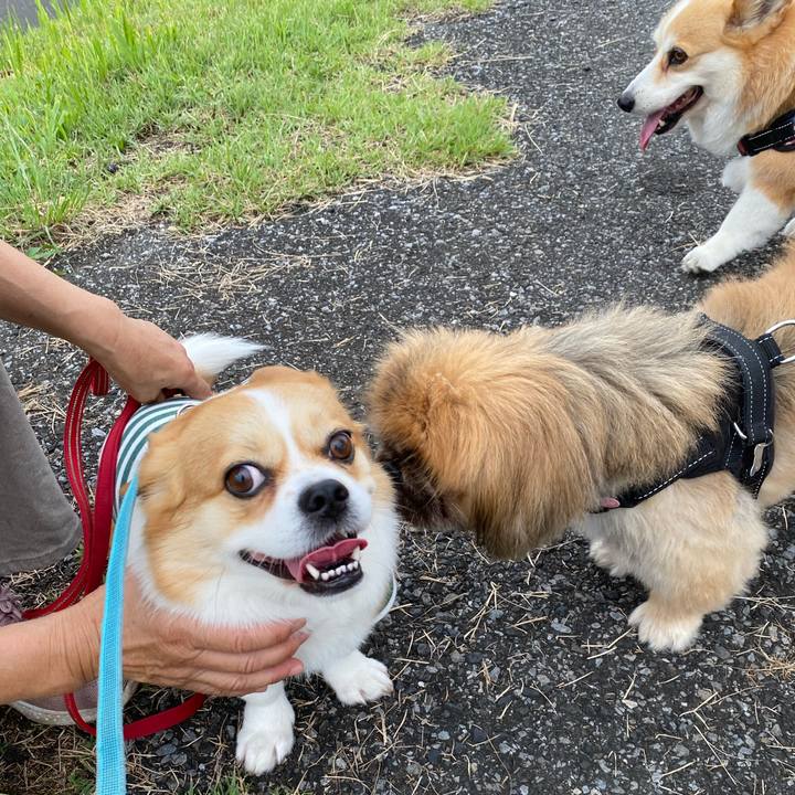 F58f5c6b 7575 49fc 833f eb6d94decc5f 1689327978792