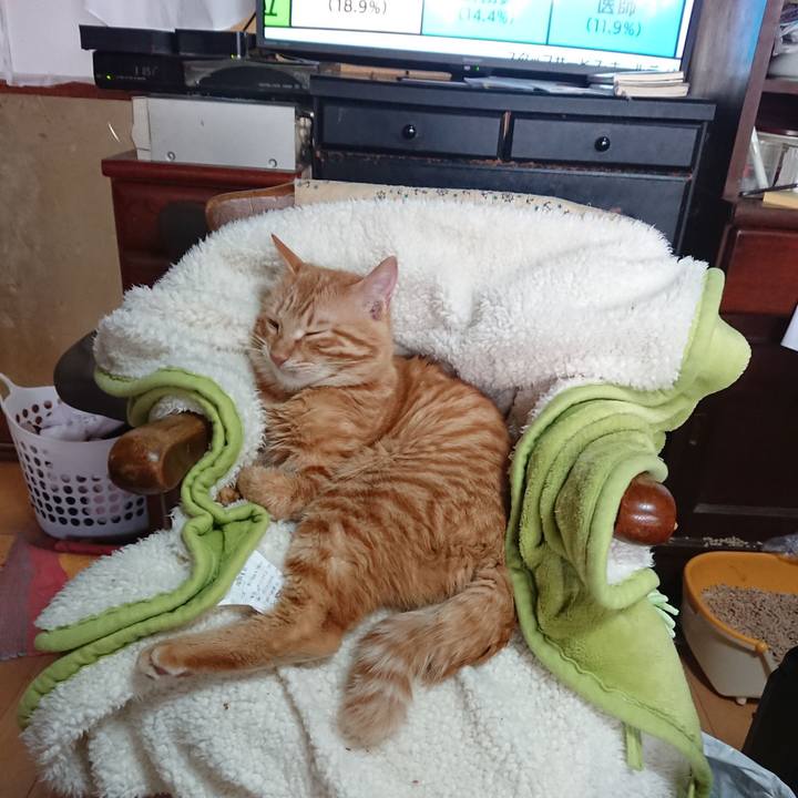 F58f8431 5ece 4bbb 888f 398d6b8e93ad 1640994205044