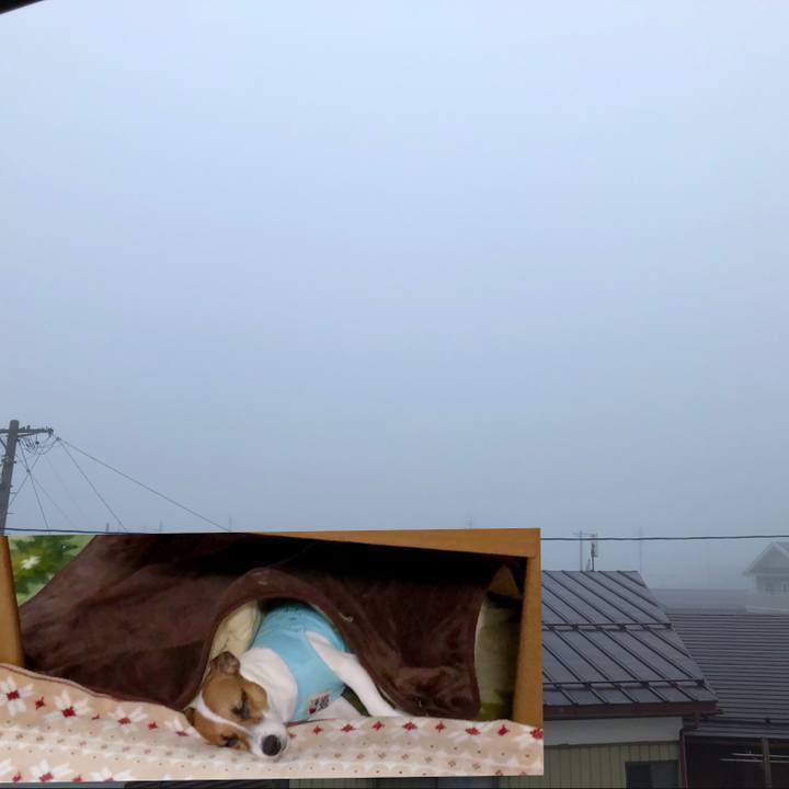 F58fa6b5 cba8 4f1e 9fdf e81fbcd612a6 1565304554726