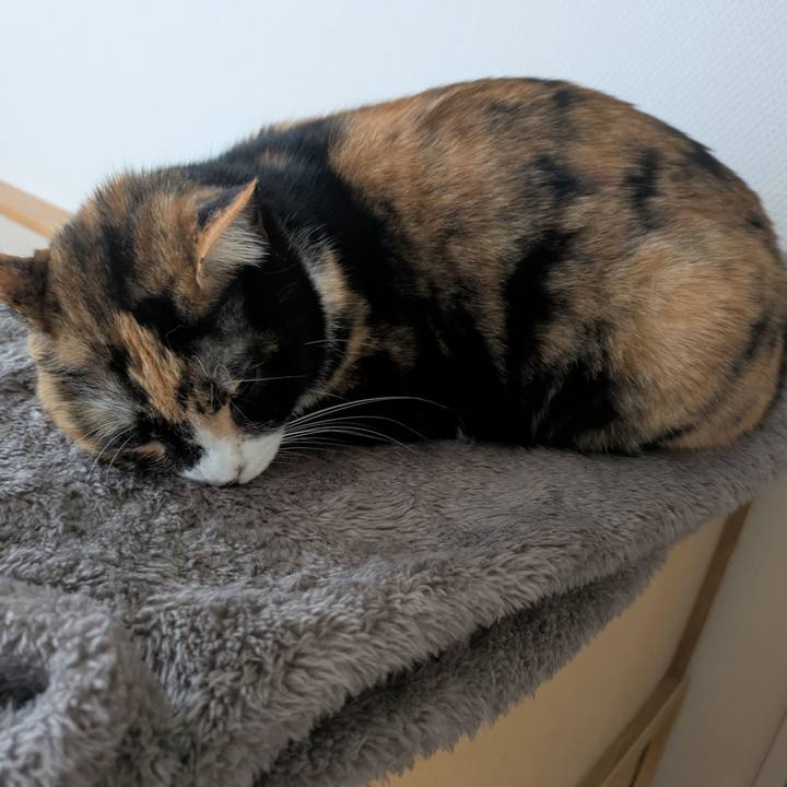 F58fc7a4 3336 4542 9dfa 741fb724e67e 1743810006632