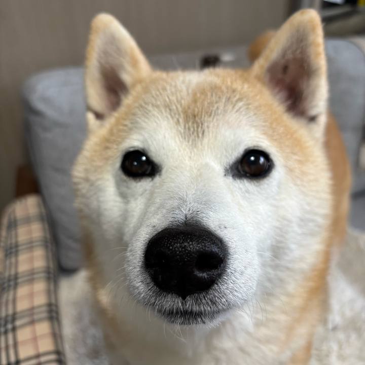 F58fea4a 8bdf 4a5c 85c7 f4ec341df86b 1741040344166