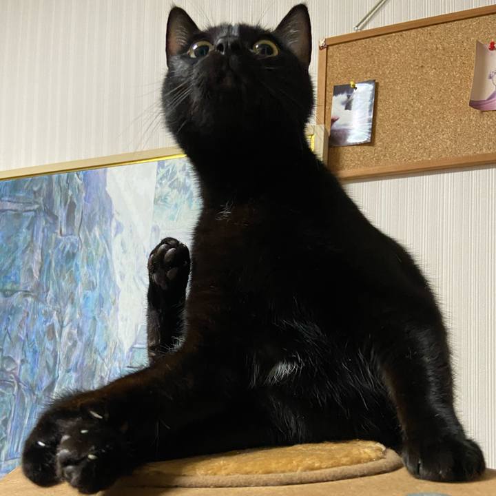 F58ff136 510c 410a 8652 816235690661 1636802308496