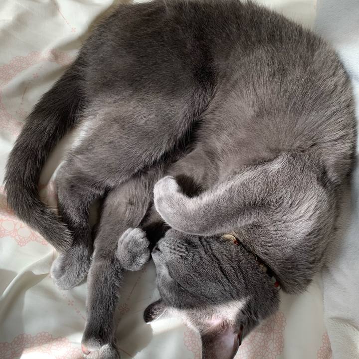 F58ff5f6 a4bc 4073 b1e8 30dc56fa978e 1648109055719