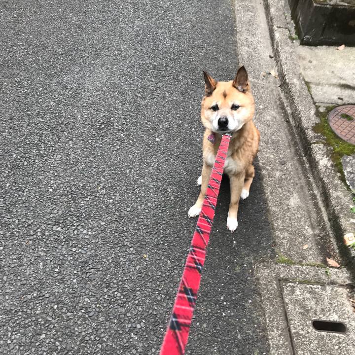 F5903557 4628 4dab aa53 7069c583c5d1 1520375253900