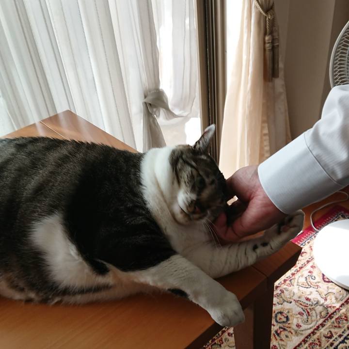 F59048bc 6d56 4bd1 94d9 c9a86be584c8 1527204573449