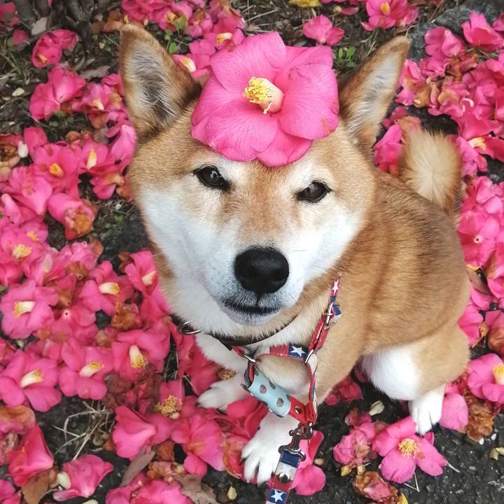 F5905bb1 5d03 4aec bdc4 8fad8ab067fd 1679535190098