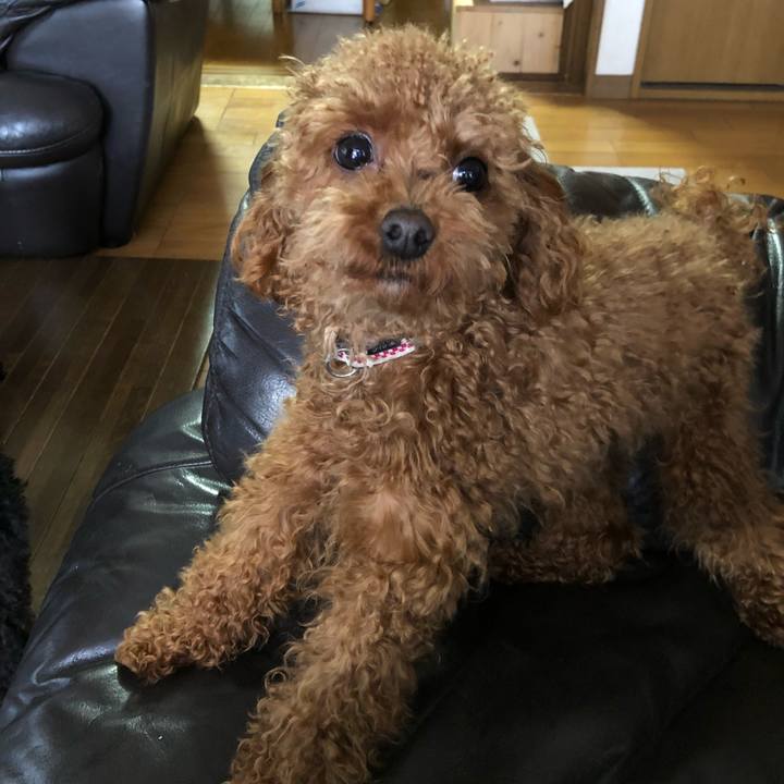 F5907018 8e26 4a23 952a f11a0fb7458a 1520936956214