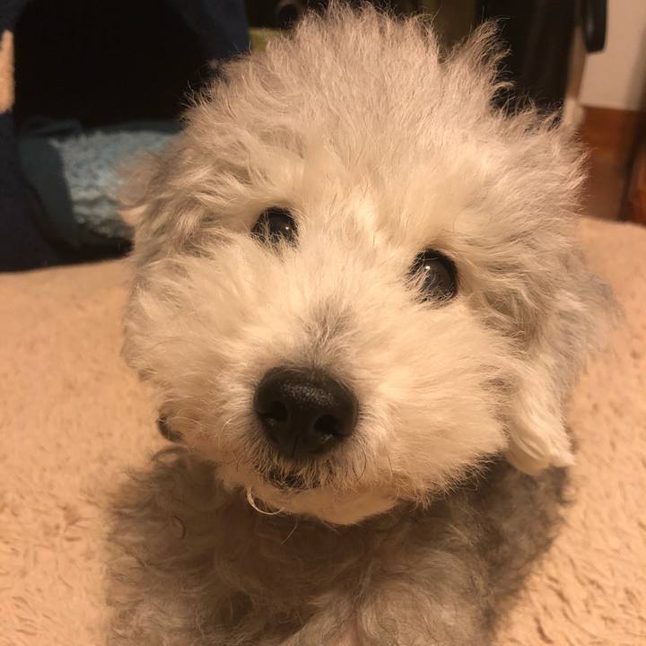 F59071e9 3b01 4e83 8606 889394209912 1608686734829