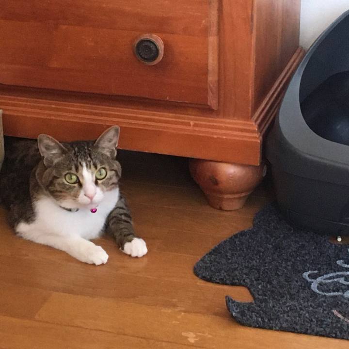 F59095f8 0b46 4949 8180 31e4de288880 1697604434499