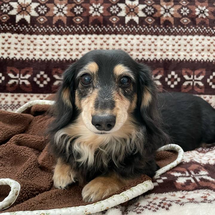 F590a677 ec24 4454 873f 21f70c7a733a 1646785410844