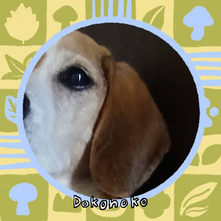 F590aabd 7a93 41d7 882b 39bb1800be95 1761222006478