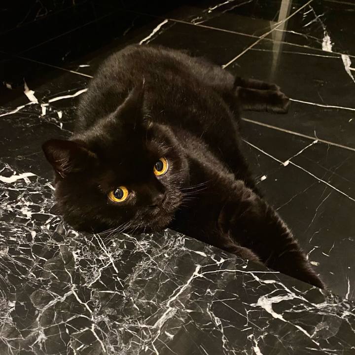 F590b159 e907 4937 ba8b 05d92a143d18 1722772033017