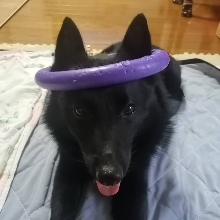 F590f70a aa28 4116 9cec 642632c67e59 1624698532617