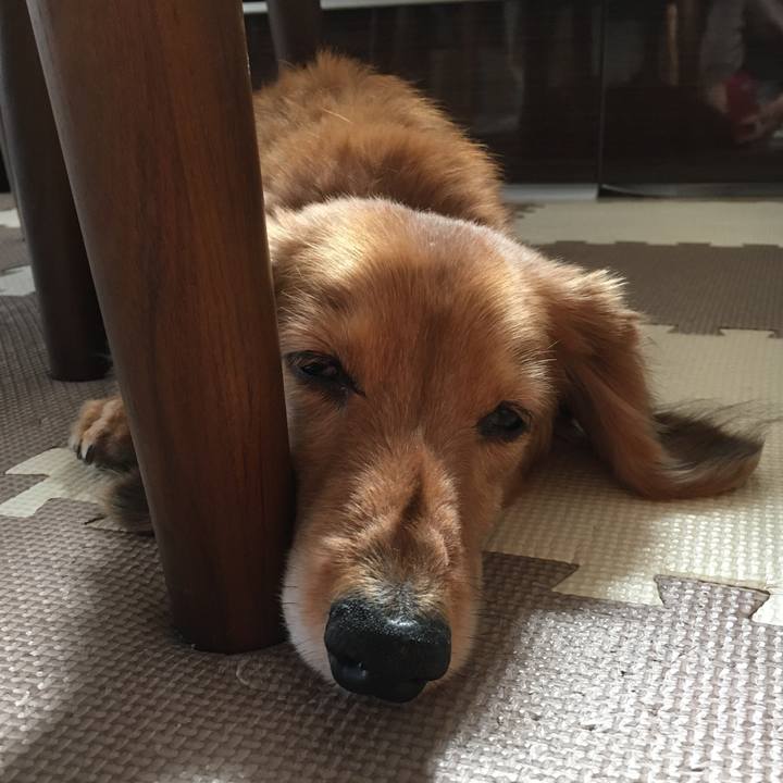 F5912055 7d3c 4fba 83f5 85ef93e63e0a 1618491869230