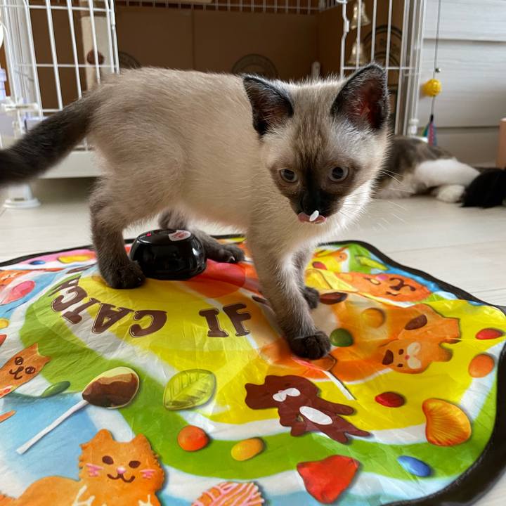 F5913a7d 4090 4a20 82f3 1d3c45418c89 1688852793893