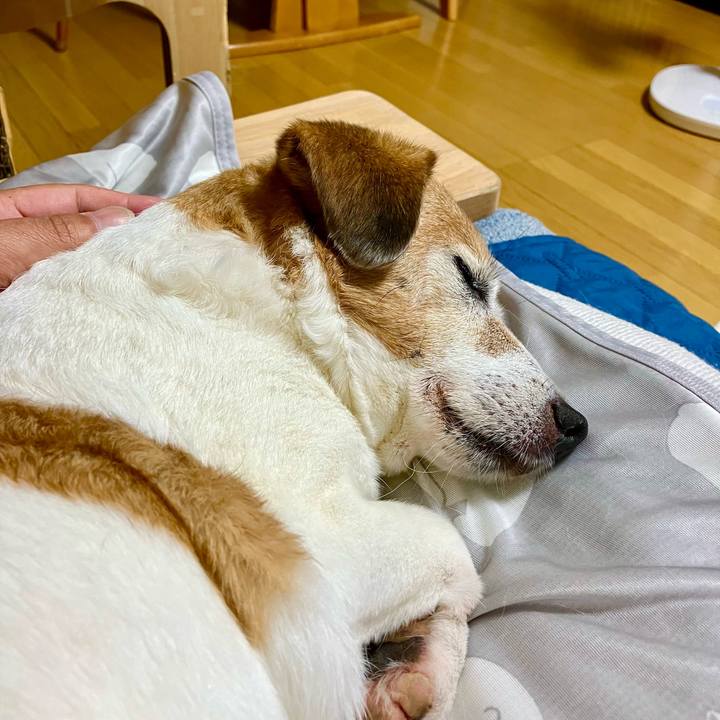 F5913d0d 2168 4862 9442 9096ec1ab940 1720879368184