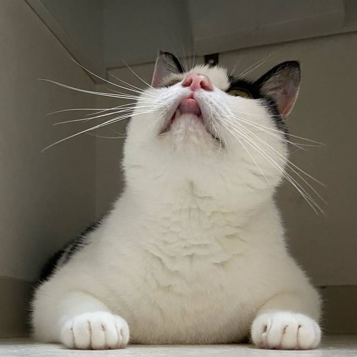 F5915c4d 34e7 47f4 9ad6 4d459916ef25 1598086894118